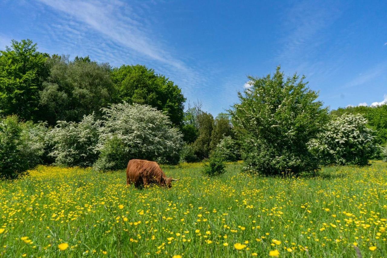 Europarcs Het Amsterdamse Bos Otel Amstelveen Dış mekan fotoğraf